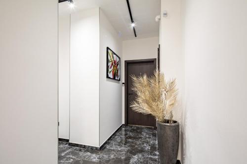 Extreme Central Luxury - image 8