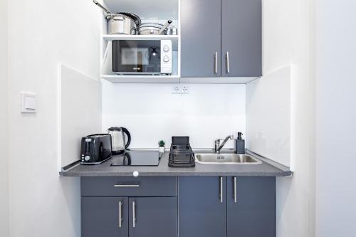 Ultra Central Mini Studio - image 10
