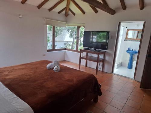 Suite image 7