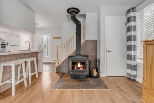 Initial / Renard / MSA