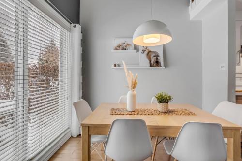 Initial / Renard / MSA