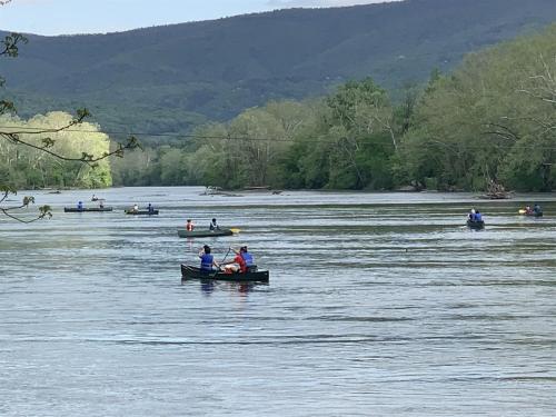 Bear Valley - image 11