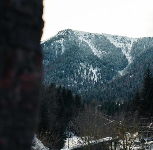 Közeli látványosságok, Cabana Flo in Borsa