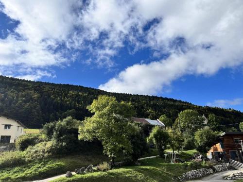 Residence Des Pres - STUDIO DE 22M² VILLARD DE LANS MAE-1224 Residence Des Pres - STUDIO DE 22M² VILLARD DE LANS MAE-1224