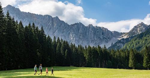 Apartments Sunnseitn by Gerrit & Herfried Apartments Sunnseitn by Gerrit & Herfried