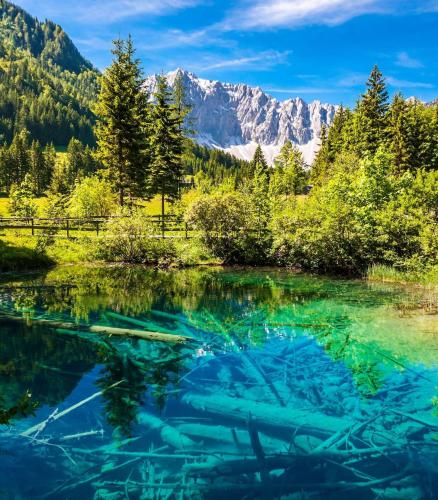 Apartments Sunnseitn by Gerrit & Herfried Apartments Sunnseitn by Gerrit & Herfried