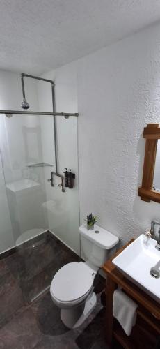 Zuhanyzó, Hostal Boutique El Rocio in Purificacion