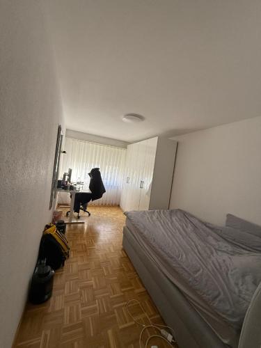Eurovision Apartment Basel Zentral & Komfortabel, Basilea (foto 7)