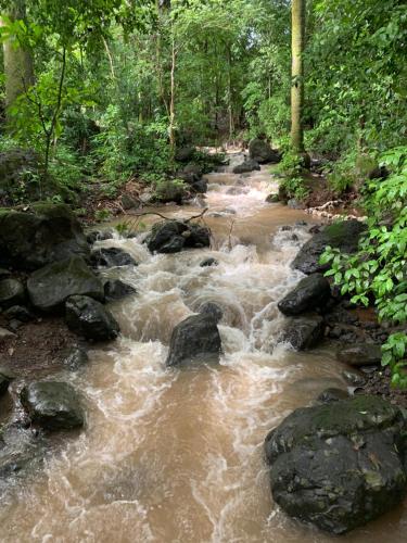 Finca flo in การารา