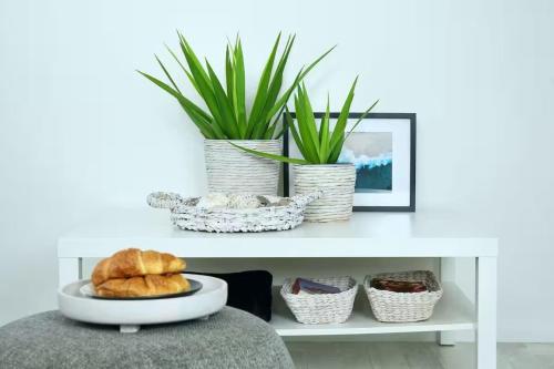 Cosy and calm unit in Cronulla formerly Beautifully renovated quiet unit in Cronulla