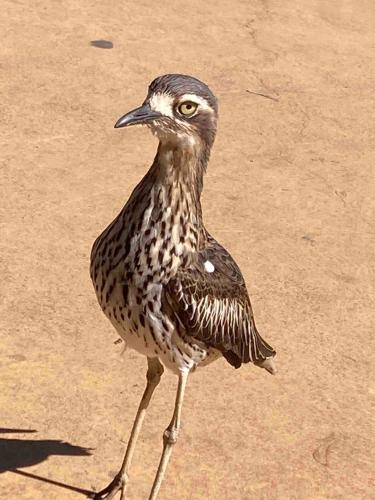 Due South Waterfront home