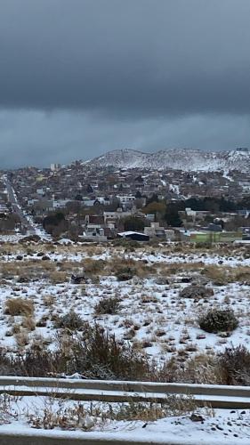 Neurocasitas in 칼레타 올리비아