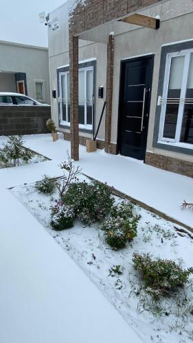 Neurocasitas in 칼레타 올리비아