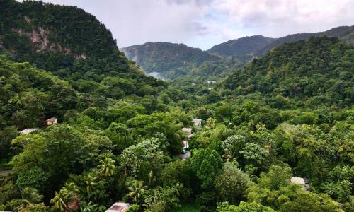 Anthurium Apartment Anthurium Apartment