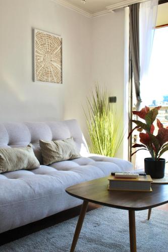 Moderno departamento Providencia