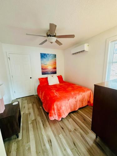 The whole family The whole family