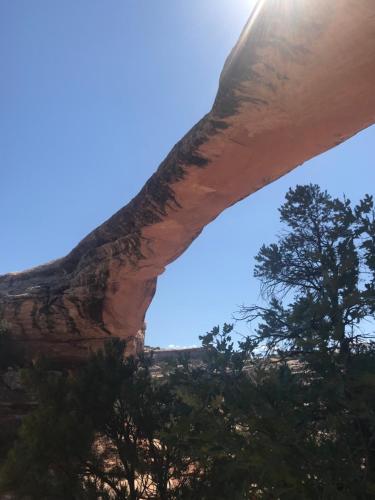 Prospector Motor Lodge in แบลนด์ดิง (ยูทาห์)