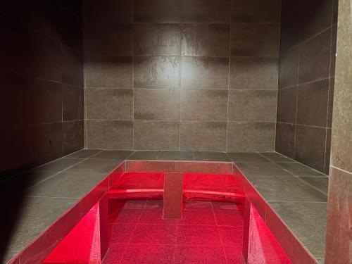 Thamel Hostel & Spa, Kathmandu (foto 8)