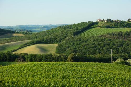 Il Borghetto Tuscan Holidays