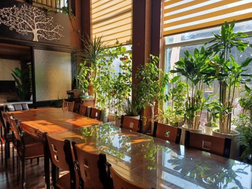 여수 베르니아 (Vernia) 게스트하우스 외관