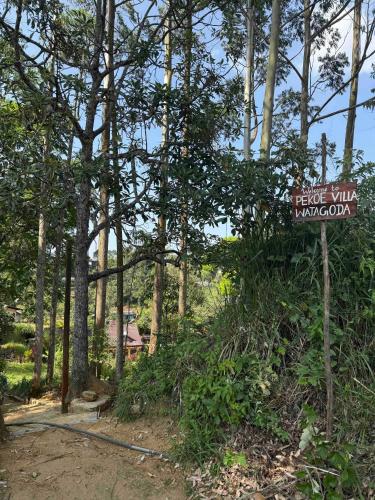 Bejárat, Pekoe villa Watagoda in Pundaluoya