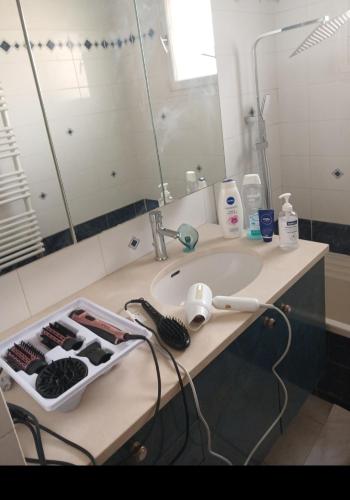 Maison 10 pièces Spa jacuzzi Paris Airport CDG jardin arboré clos (Maison 10 pieces Spa jacuzzi Paris Airport CDG jardin arbore clos) in Трембле-ен-Франс