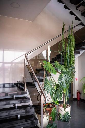 入口, Hotel Pas Katina in 帕納瓦茲