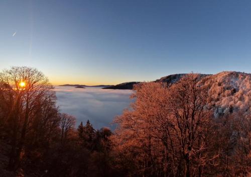 Pemandangan, La Bresse Nature and Glisse in La Bresse