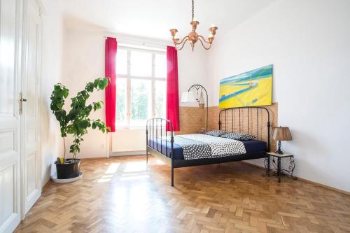 Rain Man's Apartment, Praga