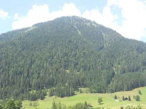  Haus Waldmann in Sankt Martin am Tennengebirge
