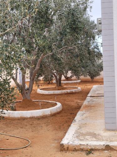 Sassi Villa, Arkou (foto 7)