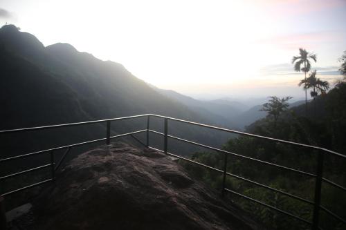 Jungle Cave - image 2
