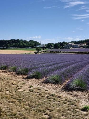 Gîte de la Source (Gite de la Source) in Barret-sur-Méouge