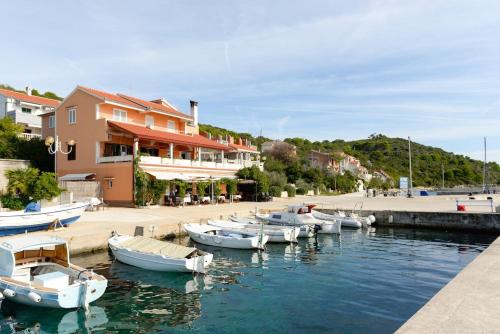 Beautiful Sea View Apartment in Zverinac