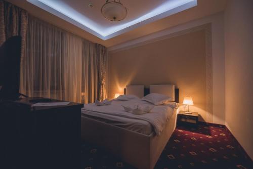 Hotel Bulevard Predeal - image 7
