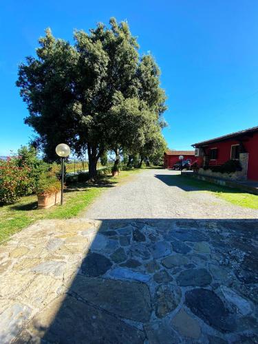 Agriturismo La Carletta - image 9