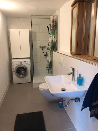 Zuhanyzó, Charmante Wohnung bei Kassel in Sohrewald