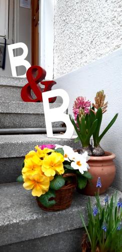 B&B Kalimera Pratteln - image 2