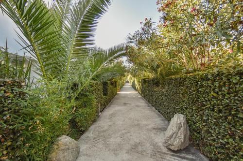 Loriet Hotel - image 13
