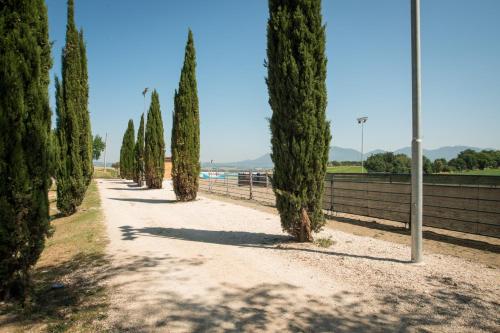 Fattoria Didattica La Collina Incantata