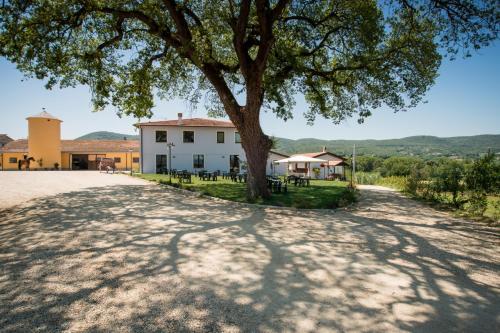 Fattoria Didattica La Collina Incantata