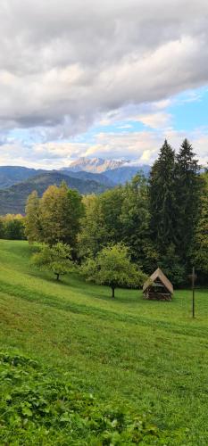 Tolmin Holiday Home in Most na Soci