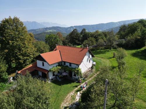 Tolmin Holiday Home in Most na Soci