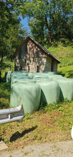 Tolmin Holiday Home in Most na Soci