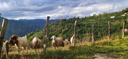 Tolmin Holiday Home in Most na Soci