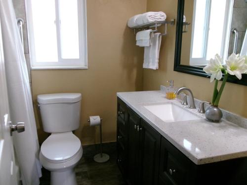 Carmel Wayfarer Inn - image 3
