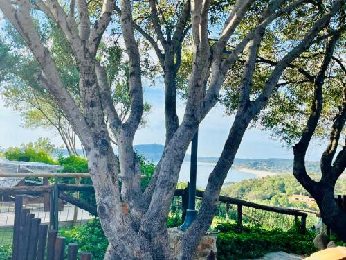 Villa Azzurra a due passi dal mare gîte à louer Is Traias