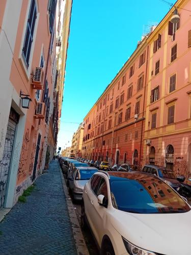 House of Wonders - San Lorenzo