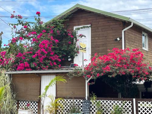 Le Cosy Bungalow de Lili / 5min de l'aeroport in Les Abymes