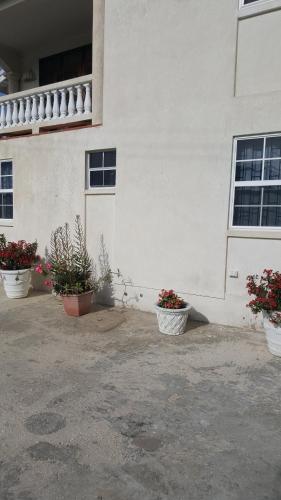 Jazz Apartment 2 in Wotton